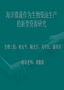 海洋微藻作为生物柴油生产的新型资源研究