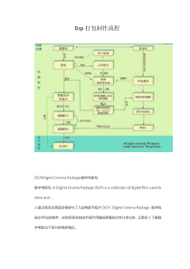 Dcp打包制作流程