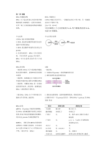 DNA双螺旋结构