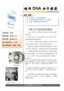 DNA模型制作