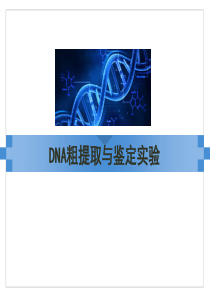 DNA粗提取与鉴定实验.