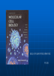 湖北大学生命科学学院生物科学系