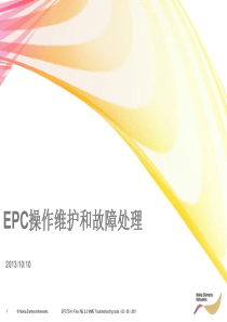 EPC操作维护和故障处理