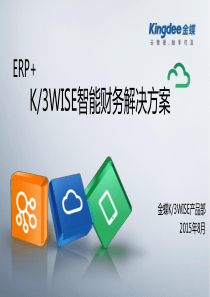 ERP+,K3WISE智能财务解决方案.