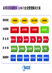 标准业务流程(3)