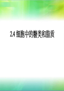 24细胞中的糖类和脂质.