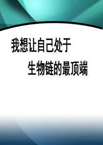 狼----我想让自己处于生物链的最高端