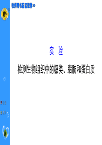 2实验检测生物组织中的糖类脂肪和蛋白质