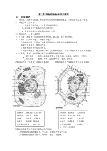 2细胞的结构-知识整理