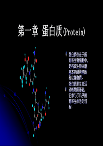 环境生物化学ppt