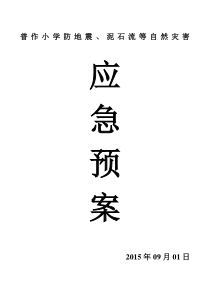 2防地震泥石流等自然灾害应急预案