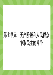 2015高中历史(人教版)二课件课后习题7.1第1课英国宪章运动(24)