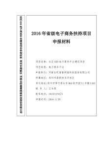 XXXX年省级电子商务扶持项目申报书