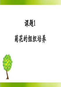 31《菊花的组织培养》参考课件