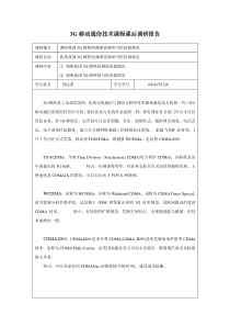 3G调研报告