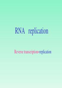 3RNA指导的DNA复制(逆转录)及病毒的复制