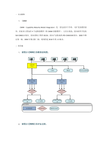 3周作业CMMI概述