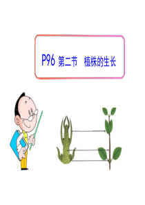 322植株的生长.