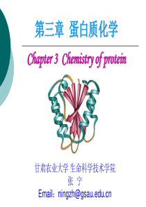 3蛋白质化学