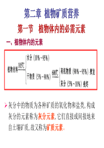 4-植物矿质营养1.