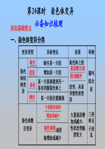 42染色体变异课件步步高