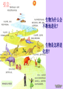 生物为什么会不断地进化