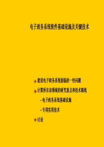 电子政务系统软件基础设施及关键技术