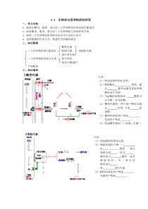 44生物体内营养物质的转变