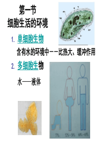 生物会考考纲编写老师的PPT：必修3第1章人体的内环境与稳态复习