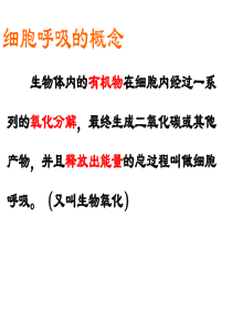 生物体内的有机物在细胞内经过一系列的氧化分解