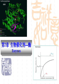 生物催化剂-PowerPointPresentatio