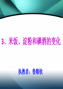 3.米饭淀粉和碘酒的变化