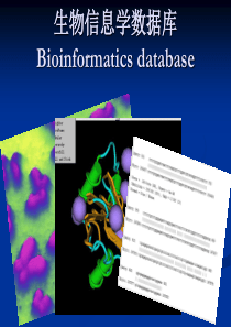 生物分子数据库