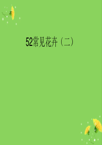 50种南方常见草本花卉.