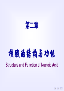 生物化学 第02章核酸的结构与功能(7版)