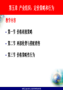 5产业经济第五章产业组织定价策略和行为