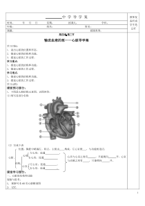 4.4.3输送血液的泵心脏导学案