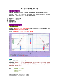 6微生物的生长知识点整理