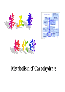 6章糖代谢-2.