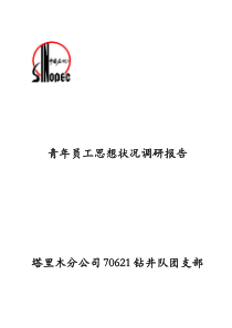 70621青年员工思想状况调研报告