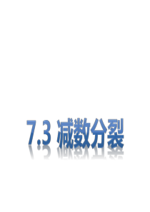 73减数分裂.