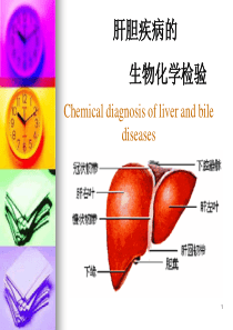 7肝胆疾病的生物化学检验