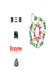 生物化学教案3