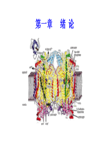 生物化学的概念