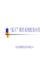 蓝天数控系统典型应用案例（DOC83页）