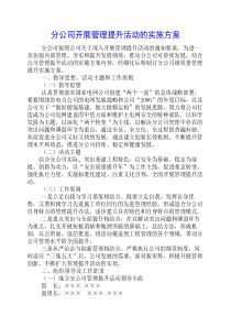 分公司开展管理提升活动的实施方案