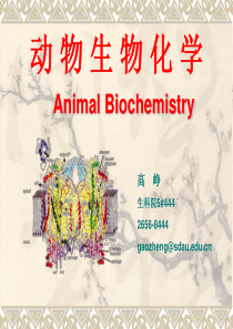 生物化学Chapter 1 绪论