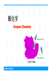 生物化学酶化学