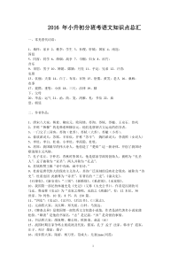 2016年小升初分班考语文知识点总汇