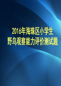 2016年海珠区小学生野鸟观察能力评价测试题